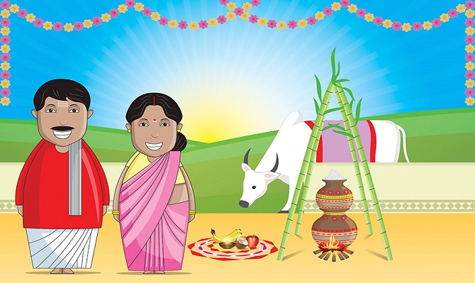 Pongal Festival Chart