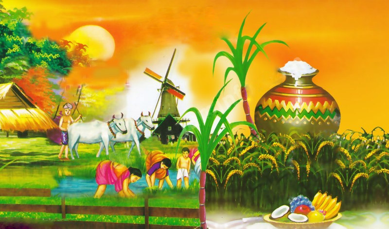 Pongal Pictures, Pongal Graphics, 