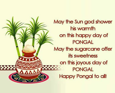 pongal greeting