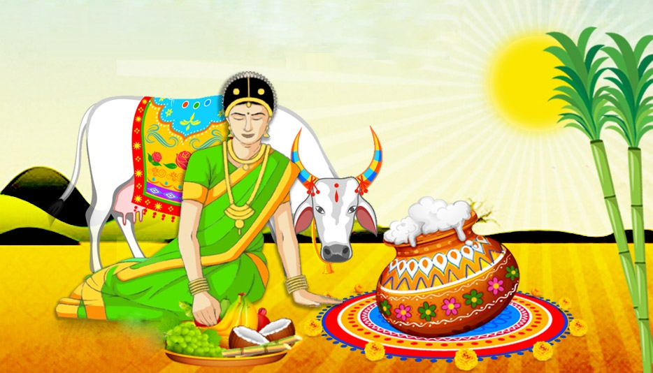 Pongal Village Celebration Illustration Vector