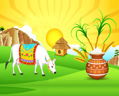 wallpaper on pongal